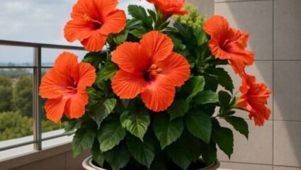 Vastu Tips: घरामध्ये जास्वंदीचे फूल असणे का आहे फायदेशीर, काय सांगते वास्तुशास्त्र जाणून घ्या