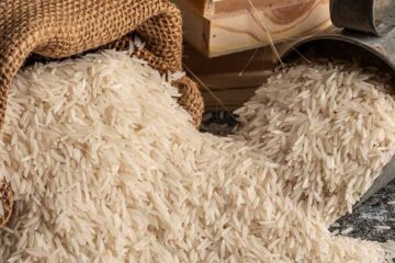 India Basmati Exports Iran: इराण संकटामुळे भारताच्या बासमती निर्यातीला धक्का; नवे आर्थिक धोक्याचे संकेत?