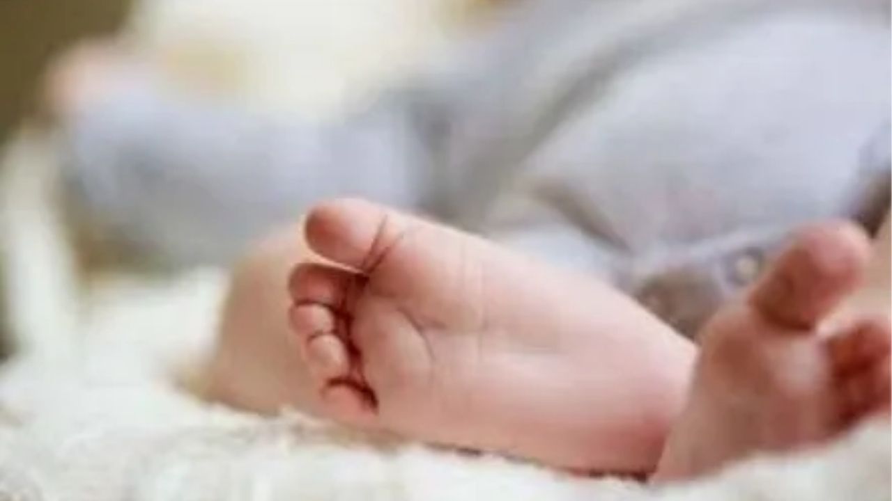 Haryana Crime: संतापजनक! होमवर्कमधील चुकांवरून पित्याचा संताप; अमानुष मारहाणीत चार वर्षांच्या चिमुकलीचा मृत्यू