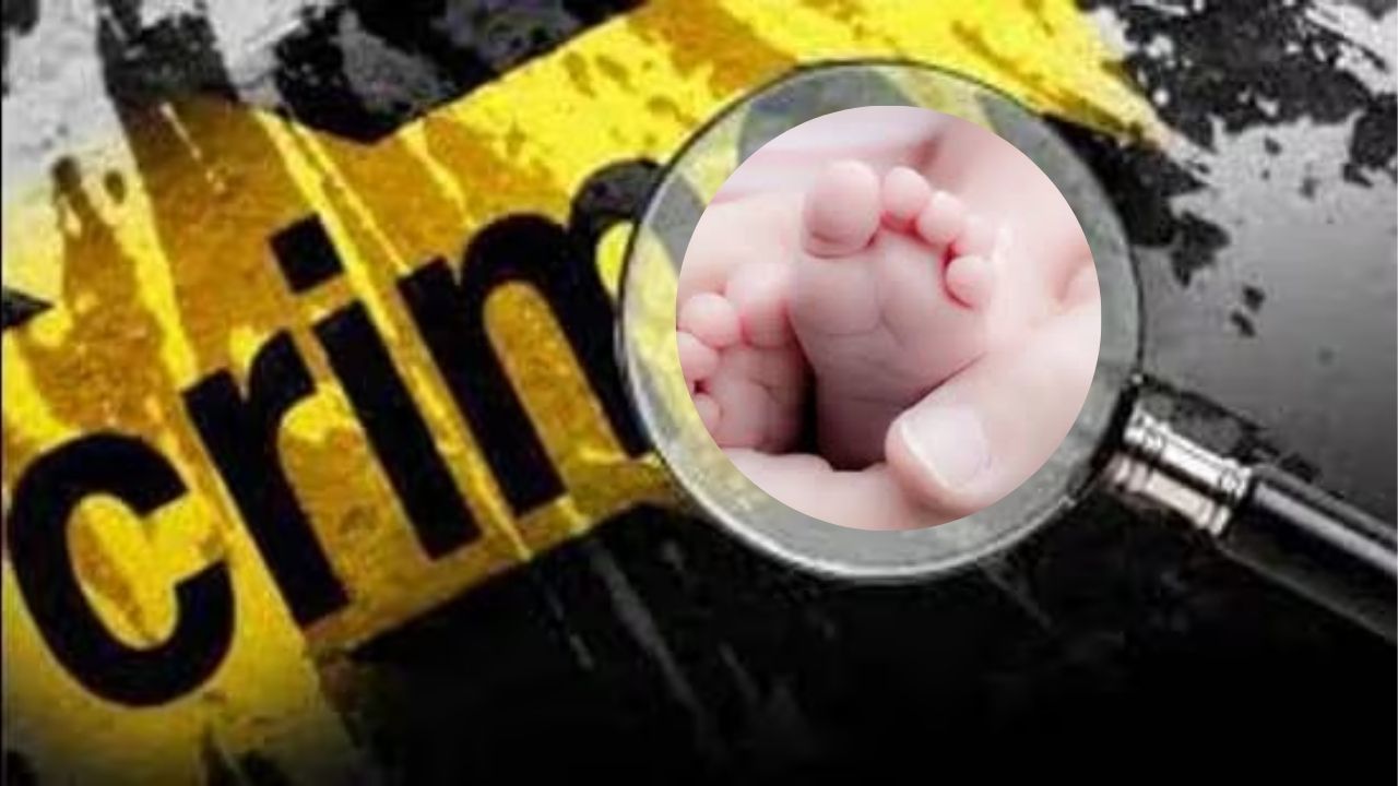 Rajasthan Crime: माणुसकीला काळीमा! निर्दयी आईने नवजात बाळ झुडपात टाकलं; भटक्या जनावरांच्या हल्ल्यात मृत्यू