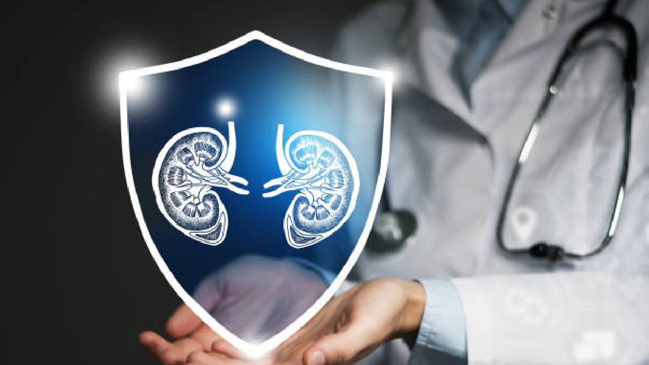 मातृत्वाची अशीही एक कहाणी! मुलाच्या भविष्यासाठी ‘त्या’ हिरकणीने जीव लावला दावणीला, स्वतःची किडनी केली दान