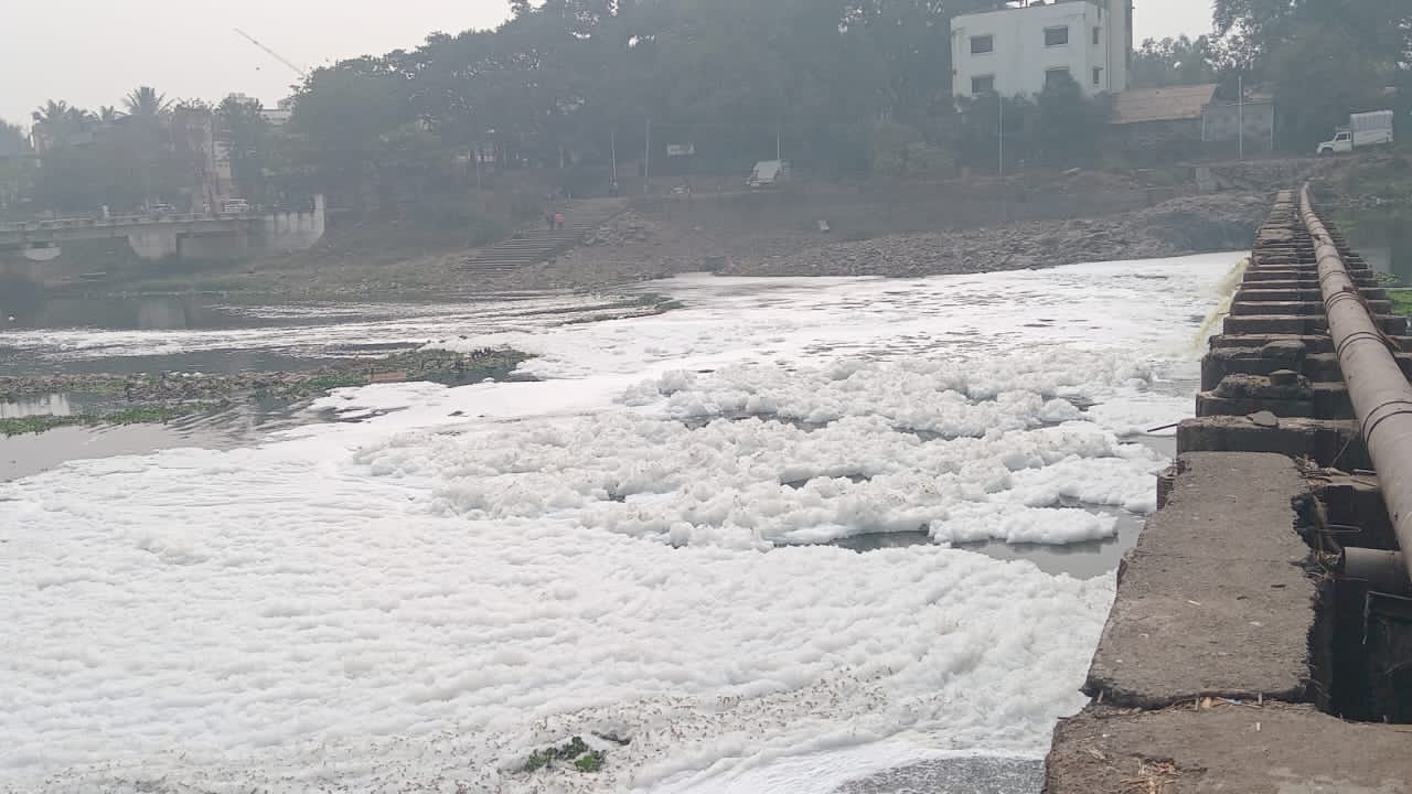 विठुरायाच्या पवित्र नदीला प्रदूषणाचा विळखा, Indrayani नदी पुन्हा भरली पांढऱ्या फेसाने; काय होणार परिणाम?