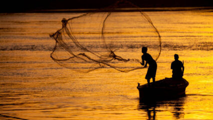 Fishing News: रत्नागिरीतील सागरी मासेमारी संकटाच्या जाळ्यात! पापलेटचे दर्शन दुर्मीळच