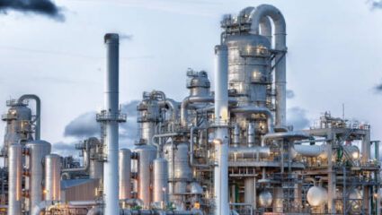 ‘लक्ष्मी ऑरगॅनिक’मागे केंद्रीय मंत्र्याचा आशीर्वाद? Konkan च्या मुळावर उठणारा प्रकल्प बंद करण्याची मागणी