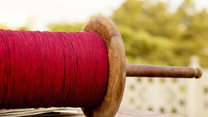 ‘मांजा हटवा अन् जीव वाचवा! चायनीज मांजा ठरतोय मृत्यूचा सापळा; पुण्यात ‘विद्या प्रमाण रेस्क्यू अभियान’