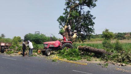 “वृक्षवल्ली आम्हा सोयरी?” ‘या’ पालखी मार्गावर वृक्षलागवड नाहीच? ठेकेदाराचे पर्यावरणाकडे दुर्लक्ष