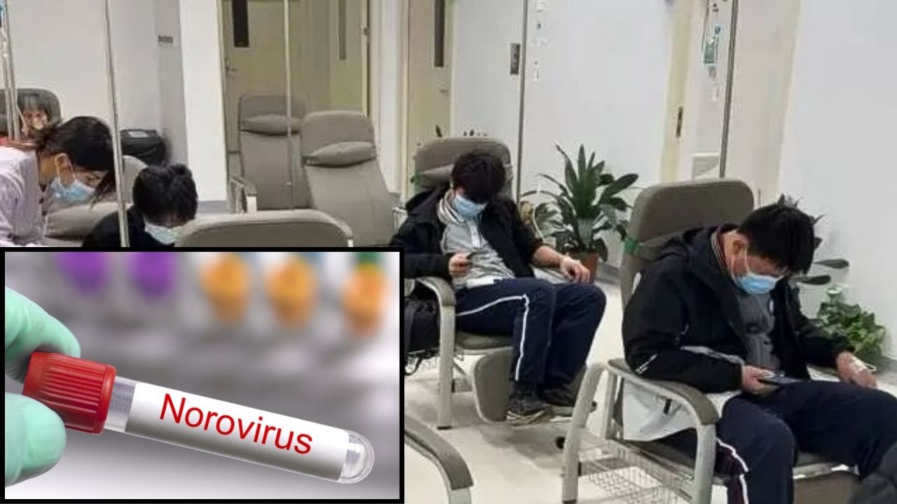 Global Health: कोरोनाव्हायरस नंतर ‘या’ भयानक व्हायरसने काढले डोके वर; 68 कोटी लोकांना संसर्ग, 2 लाख मृत्यू अन् जागतिक भीषण वास्तव