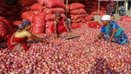 Onion Price: शेतकऱ्यांवर पुन्हा संकट! कांद्याच्या दरात मोठी घसरण, १५ दिवसांत १ हजार रुपयांनी दर कोसळले