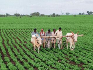 PM Kisan Yojana: २०२६ च्या अर्थसंकल्पापूर्वी पीएम किसान योजनेचा हप्ता येईल का? जाणून घ्या एका क्लिकवर 