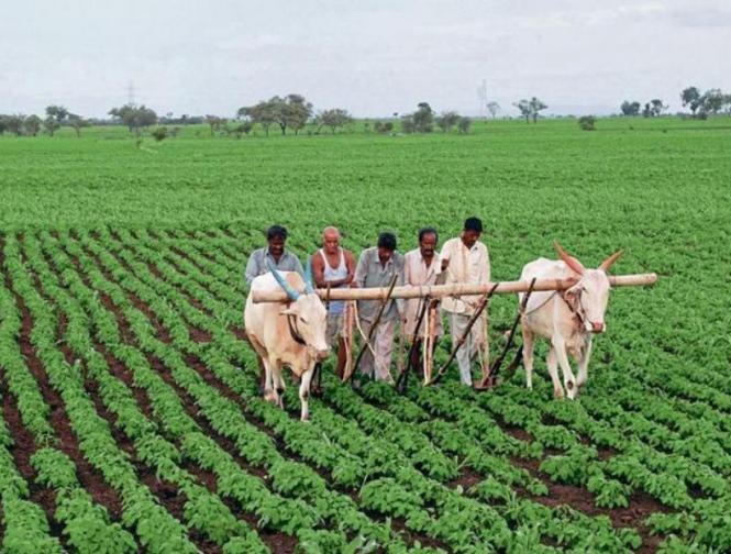 PM Kisan Yojana: २०२६ च्या अर्थसंकल्पापूर्वी पीएम किसान योजनेचा हप्ता येईल का? जाणून घ्या एका क्लिकवर 