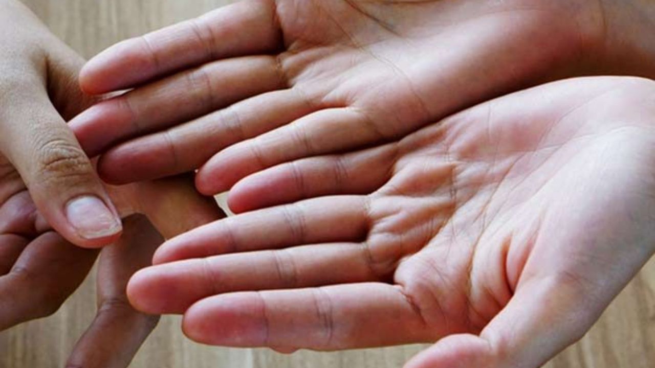 Palmistry: मधल्या बोटावर असते करिअर आणि मेहनतीचे संकेत, जाणून घ्या तुमचा स्वभाव आणि यशाचा मार्ग