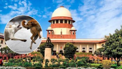 दिल्लीतील भटक्या कुत्र्यांबाबत आज होणार निर्णय; माणसांसाठी एवढ्या याचिका येत नाही, सुप्रीम कोर्टाची टिप्पणी