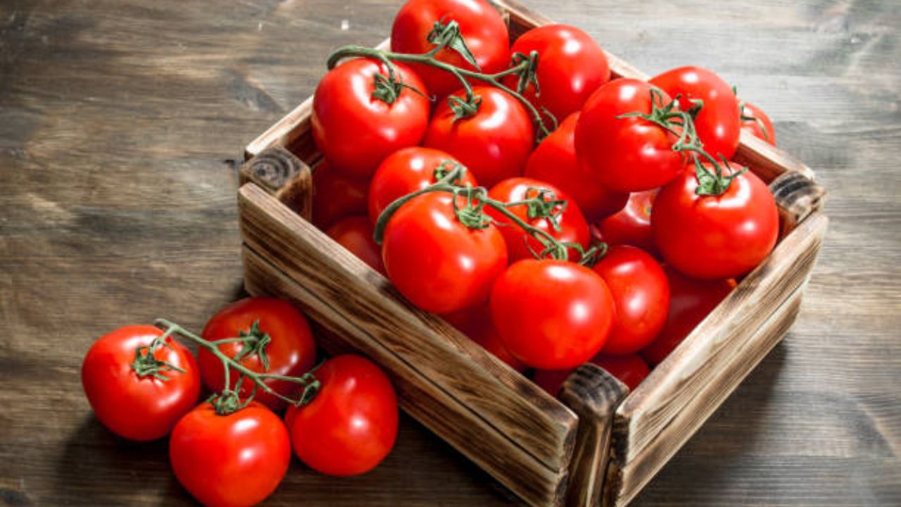 टोमॅटोमधील लायकोपीन सूर्याच्या हानिकारक किरणांपासून त्वचेचे रक्षण करते. जेवणातील अनेक वेगवेगळे पदार्थ बनवण्यासाठी टोमॅटोचा वापर केला जातो. यामध्ये असलेल्या विटामिन सी मुळे त्वचा उजळदार होते.