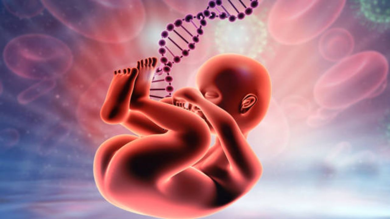 नऊ महिन्याच्या कालावधीमध्ये आईच्या गर्भात बाळाचे फुफ्फुस श्वास घेण्यासाठी तयार होतात. यासोबतच मेंदू आणि मज्जासंस्था परिपक्व होऊन बाळाचे सर्व अवयव हळूहळू तयार होऊ लागतात. 