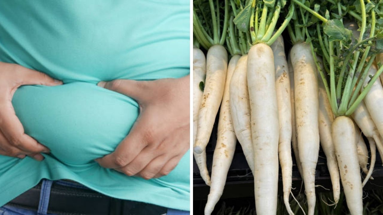 पोटावर वाढलेली चरबी मेणासारखी जाईल वितळून! पोट स्वच्छ होण्यासाठी नियमित खा ‘हा’ २० रुपयांचा पदार्थ, घाण पडून जाईल बाहेर