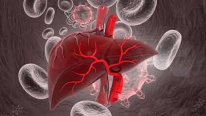 सतत दारू पिऊन सडलेलले लिव्हर पुन्हा एकदा होईल स्वच्छ! रोजच्या आहारात नियमित करा ‘या’ जादुई पदार्थांचा समावेश