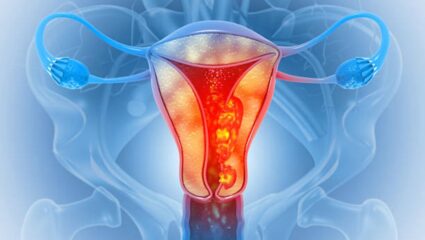 ‘Intimate Wash’ चा अतिवापर शरीरासाठी ठरेल जीवघेणा! महिलेच्या शरीरातील हे अवयव झाले पूर्णपणे निकामी