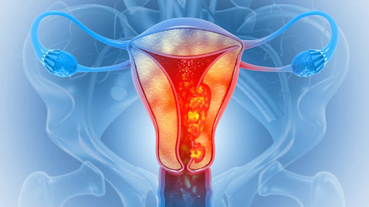 ‘Intimate Wash’ चा अतिवापर शरीरासाठी ठरेल जीवघेणा! महिलेच्या शरीरातील हे अवयव झाले पूर्णपणे निकामी