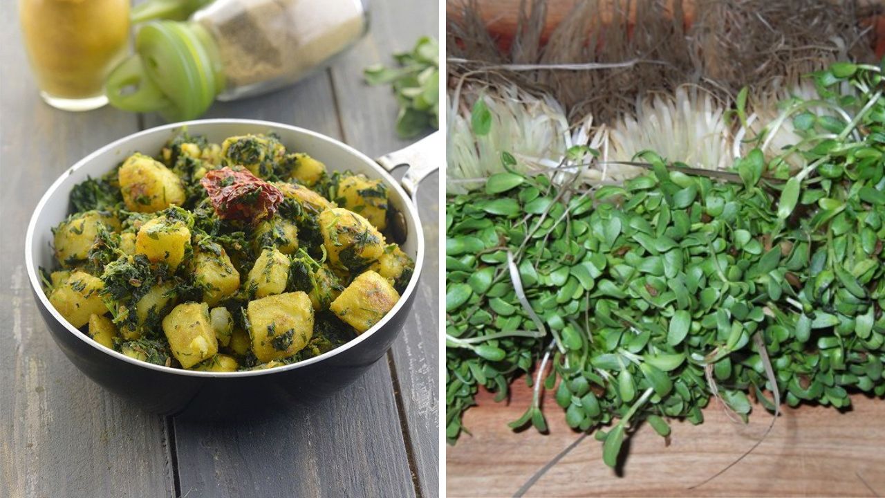 पोषक तत्वांनी समृद्ध असलेल्या बारीक मेथीपासून बनवा झणझणीत भाजी, लहान मुलांसह मोठेऊसुद्धा खातील आवडीने