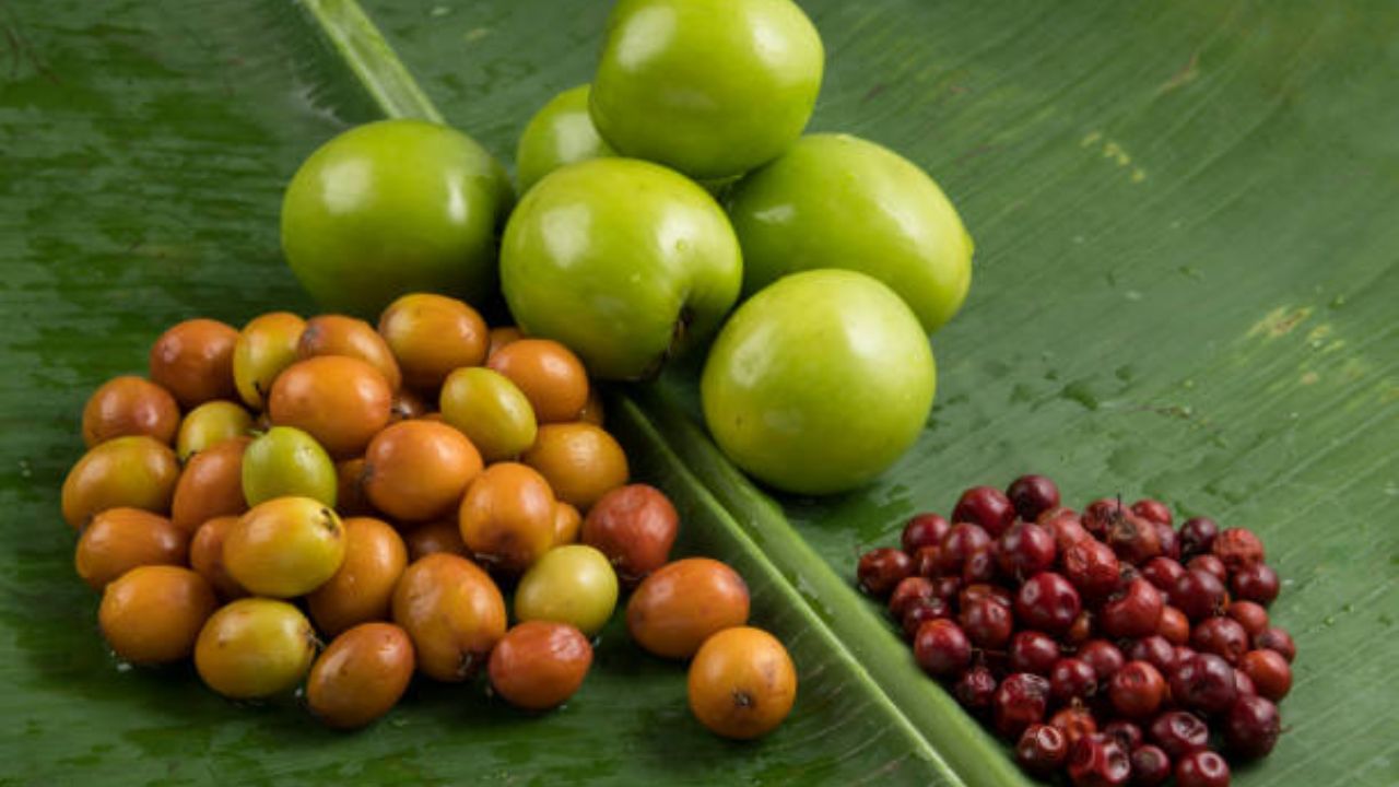  सर्दी, ताप आणि खोकल्यापासून बचाव करण्यासाठी बोरं खावीत. यामुळे शरीराचे रक्षण होते आणि गंभीर आजारांची शरीराला लागण होत नाही. पचनाच्या समस्यांनी त्रस्त असलेल्या रुग्णांसाठी बोरं वरदान ठरतात. 