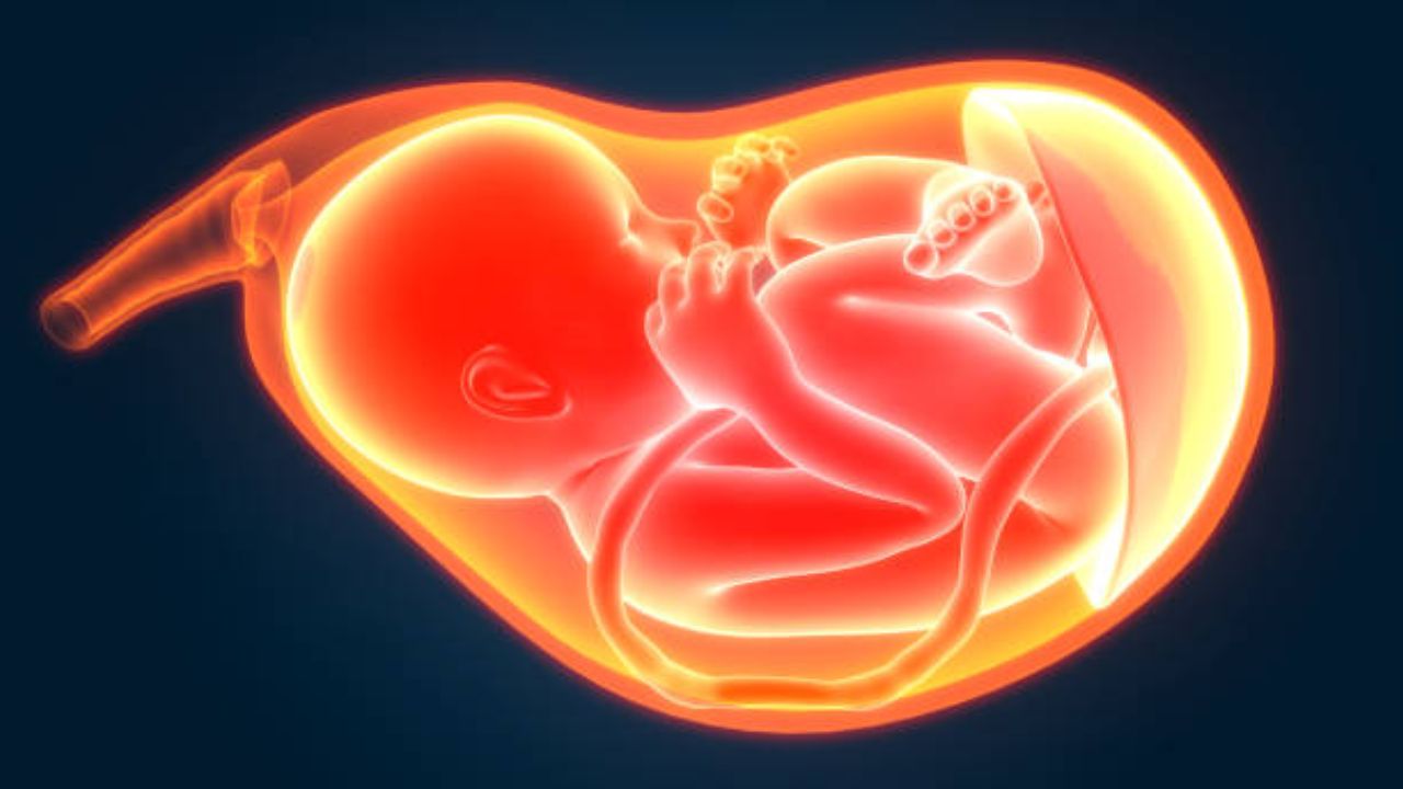 आईचे शरीर गर्भाला वाढवण्यासाठी खूप ऊर्जा वापरते. नऊ महिन्याच्या कालावधीमध्ये आईच्या शरीराचे चयापचय मंदावते. तसेच काहीवेळ गरोदरपण आईच्या शरीरात अनेक बदल दिसू लागतात. 