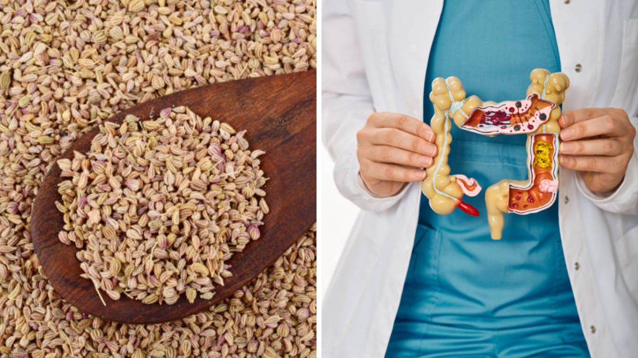 सकाळी जोर लावून सुद्धा पोट व्यवस्थित स्वच्छ होत नाही? मग रात्री झोपण्याआधी करा ‘या’ बारीक दाण्यांचे सेवन, घाण पडून जाईल बाहेर