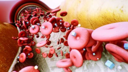 शरीरात सतत थकवा जाणवतो? आयर्नची कमतरता निर्माण झाल्यानंतर दिसू लागतात ‘ही’ महाभयंकर लक्षणे, वेळीच घ्या उपचार