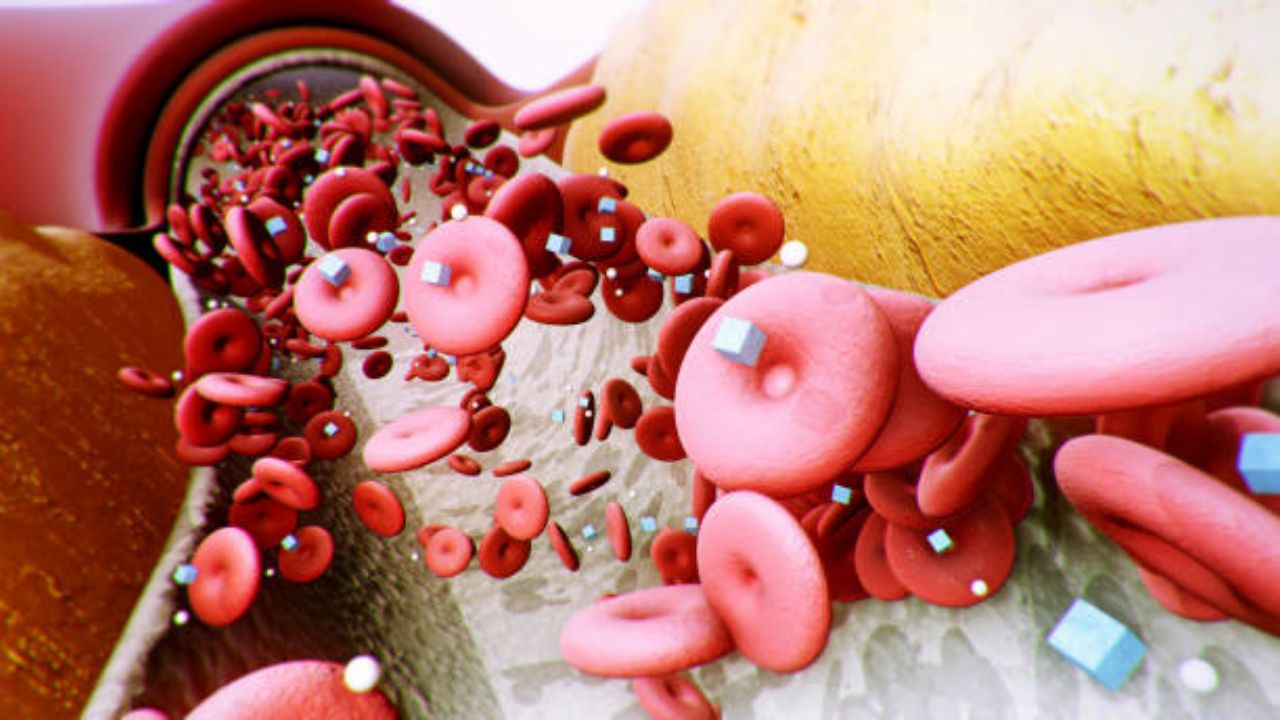 शरीरात सतत थकवा जाणवतो? आयर्नची कमतरता निर्माण झाल्यानंतर दिसू लागतात ‘ही’ महाभयंकर लक्षणे, वेळीच घ्या उपचार