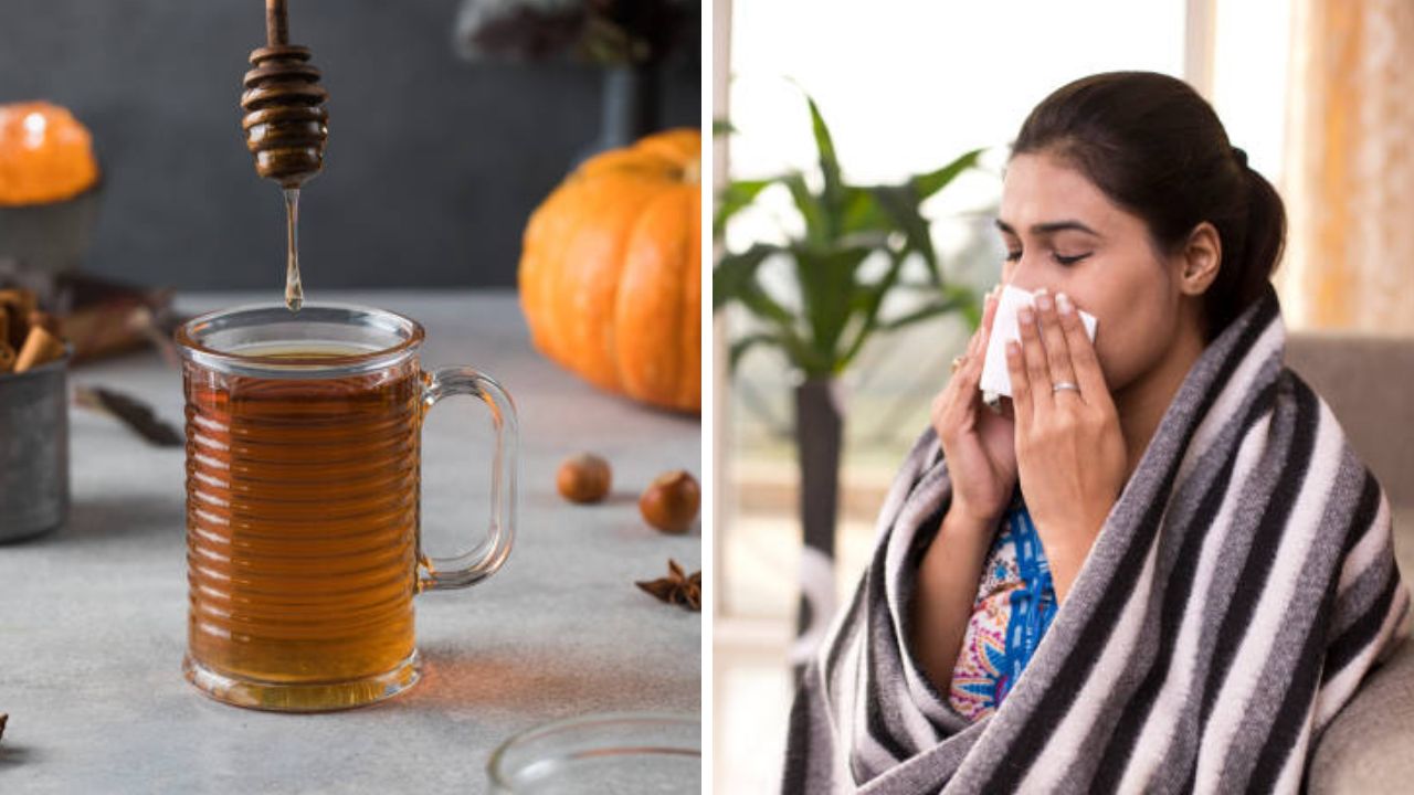 सर्दी खोकल्यामुळे हैराण झाला आहात! मग चमचाभर मधात मिक्स करा ‘हा’ शक्तिशाली पदार्थ, कफ होईल कायमचा गायब