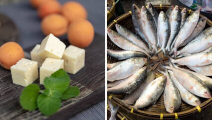 Paneer Side Effect: पनीरसोबत चुकूनही करू नका ‘या’ पदार्थांचे सेवन, पोटात वेदना वाढून पचनसंस्थेवर येऊन जास्तीचा ताण