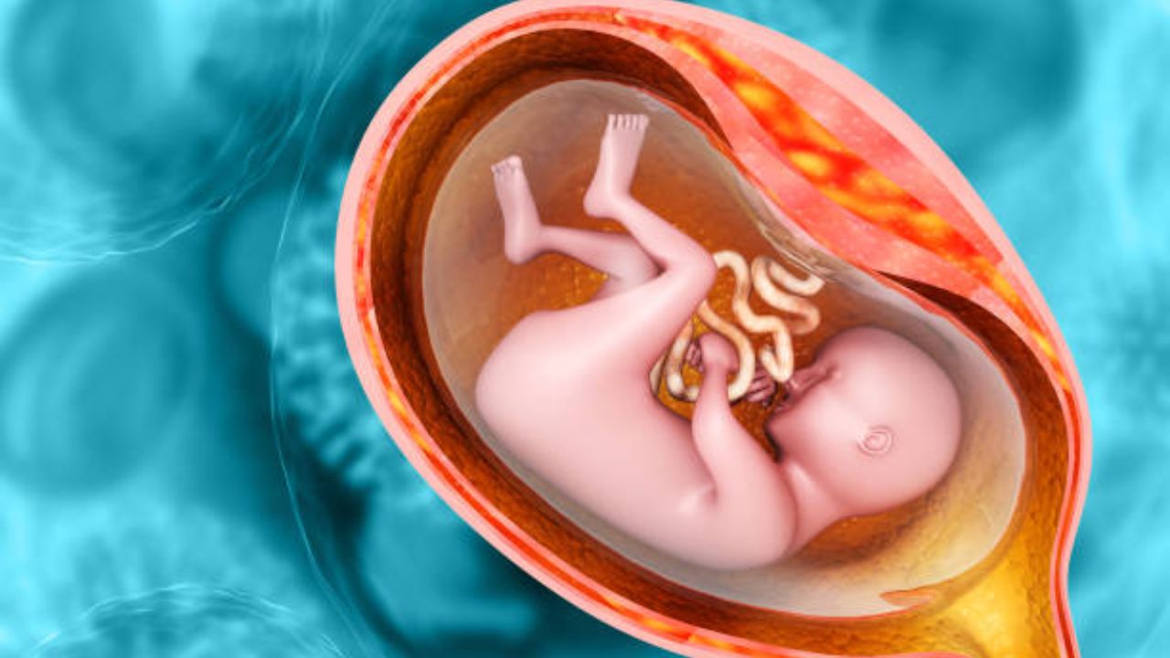 भारतीय ब्रह्माण्डशास्त्र 9 चक्रांनी भरलेले आहे. या चक्रावर नियती नियंत्रण ठेवते. त्यामुळे शरीराचा पूर्ण विकास होईपर्यंत बाळ आईच्या गर्भात नऊ महिने राहते. 