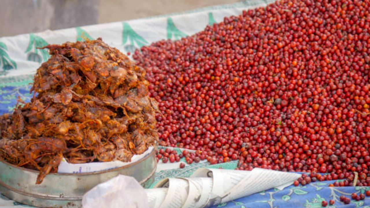 बाजारातून विकत आणलेली बोर कायमच स्वच्छ धुवून खावीत. कारण बोरांवर असलेली धूळ, माती स्वच्छ होऊन जाते. 