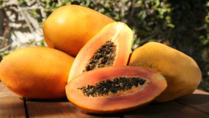 Papaya Benefits: सकाळच्या नाश्त्यात नियमित वाटीभर पपईचे सेवन, गंभीर आजारांपासून कायमच राहाल लांब