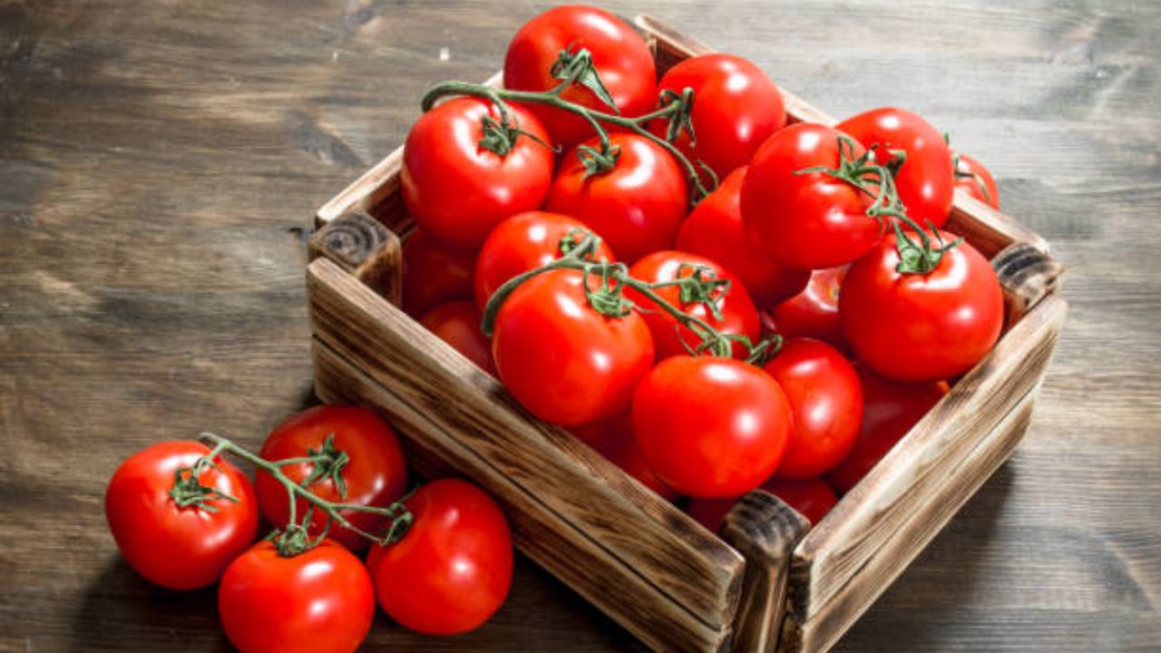 Cooking Tips: ‘या’ भाज्यांमध्ये चुकूनही टाकू नका टोमॅटो, अन्यथा बिघडून जाईल पदार्थाची चव