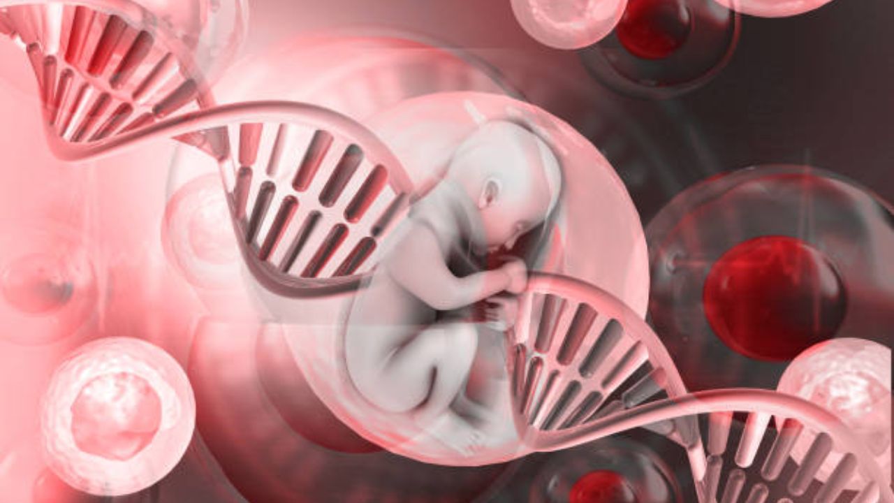 आईच्या गर्भाशयात बाळ नऊ महिने का राहते? जाणून घ्या मनुष्याला जन्म घ्यायला 9 महिना का लागतात