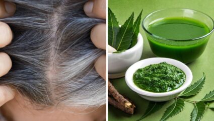पांढरे केस होतील कायमचे काळेभोर आणि मजबूत! ‘या’ हिरव्या पानांचा वापर करून घरीच तयार करा आयुर्वेदिक हेअर मास्क