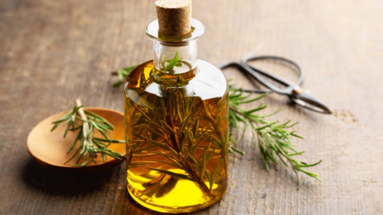 रोझमेरी ही एक औषधी वनस्पती आहे. ही वनस्पती केस गळतीसाठी जीवन रक्षक मानली जाते. टोपात पाणी गरम करून त्यात रोझमेरी टाकून उकळवून घ्या. त्यानंतर तयार केलेले पाणी गाळून स्प्रे बॉटलमध्ये भरून नियमित केसांवर स्प्रे करा. 