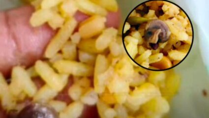 मंदिराच्या प्रसादात आढळली गोगलगाय! Video व्हायरल झाल्यानंतर भाविकांचा संताप; तर मंदिर प्रशासनाने सांगितले…