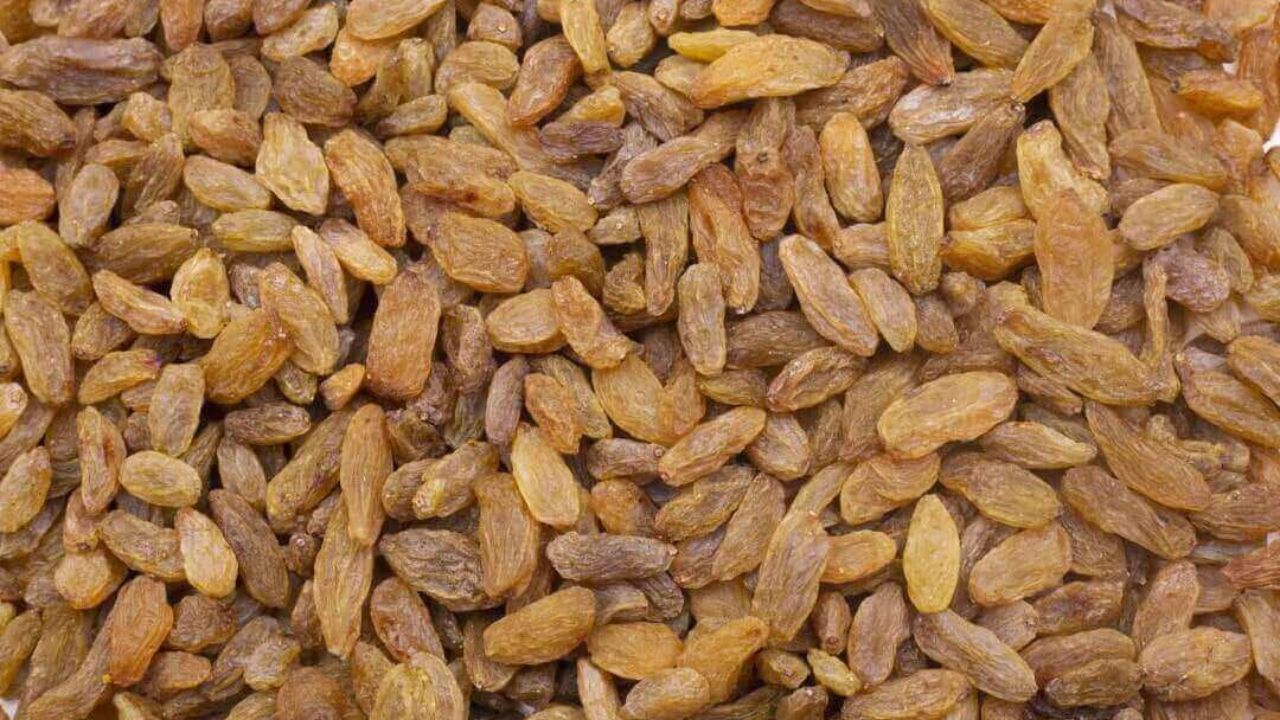Afghan Raisins Scam: अफगाण बेदाण्यामुळे तासगावचा द्राक्ष उद्योग संकटात; दोषी व्यापाऱ्यांचे परवाने रद्द करण्याची तयारी