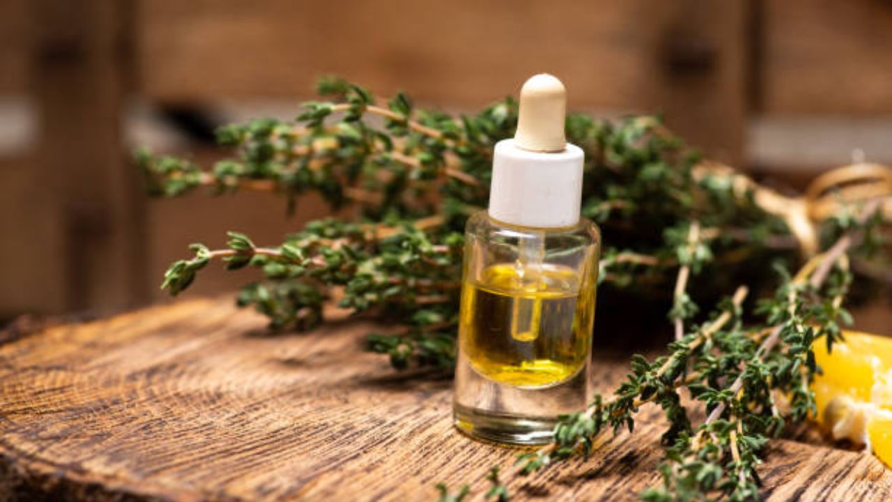 रोझमेरी तेल केसांच्या मुळांना पोषण देते आणि केस मजबूत करण्यास मदत करते. रोजच्या वापरातील कोणत्याही तेलात रोझमेरी तेल मिक्स करून लावावे. त्यानंतर हलकासा मसाज करून केस दुसऱ्या दिवशी पाण्याने स्वच्छ धुवून घ्या. 