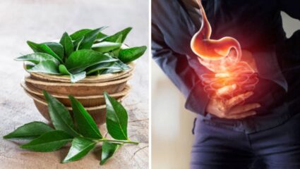 Health Care Tips: १५ दिवस नियमित चावून खा ‘ही’ हिरवीगार पाने, शरीरात कुजलेली घाण बाहेर पडून जाण्यासोबतच पेशींचे होईल रक्षण