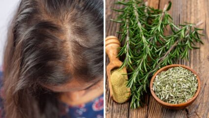 महागड्या हेअर सीरम व शाम्पूचा वापर करण्याऐवजी Rosemary चा वापर केल्यास केसांचे गळणे होईल कमी