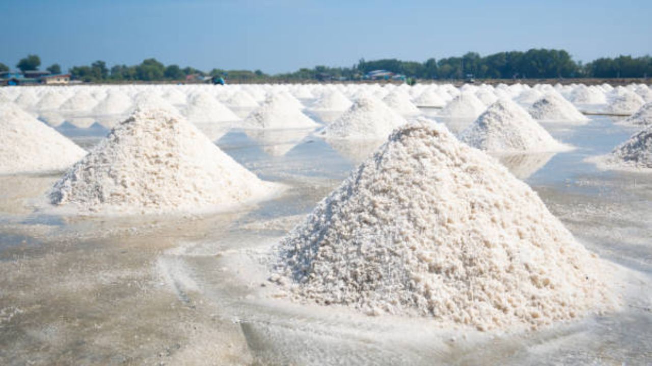 समुद्राच्या एक लिटर पाण्यापासून 35 ग्रॅम मीठ तयार होते. तसेच संपूर्ण समुद्राच्या पाण्याचा विचार केल्यास, संपूर्ण पृथ्वीवर 500 फूट जाडीचा थर तयार होऊ शकतो. 