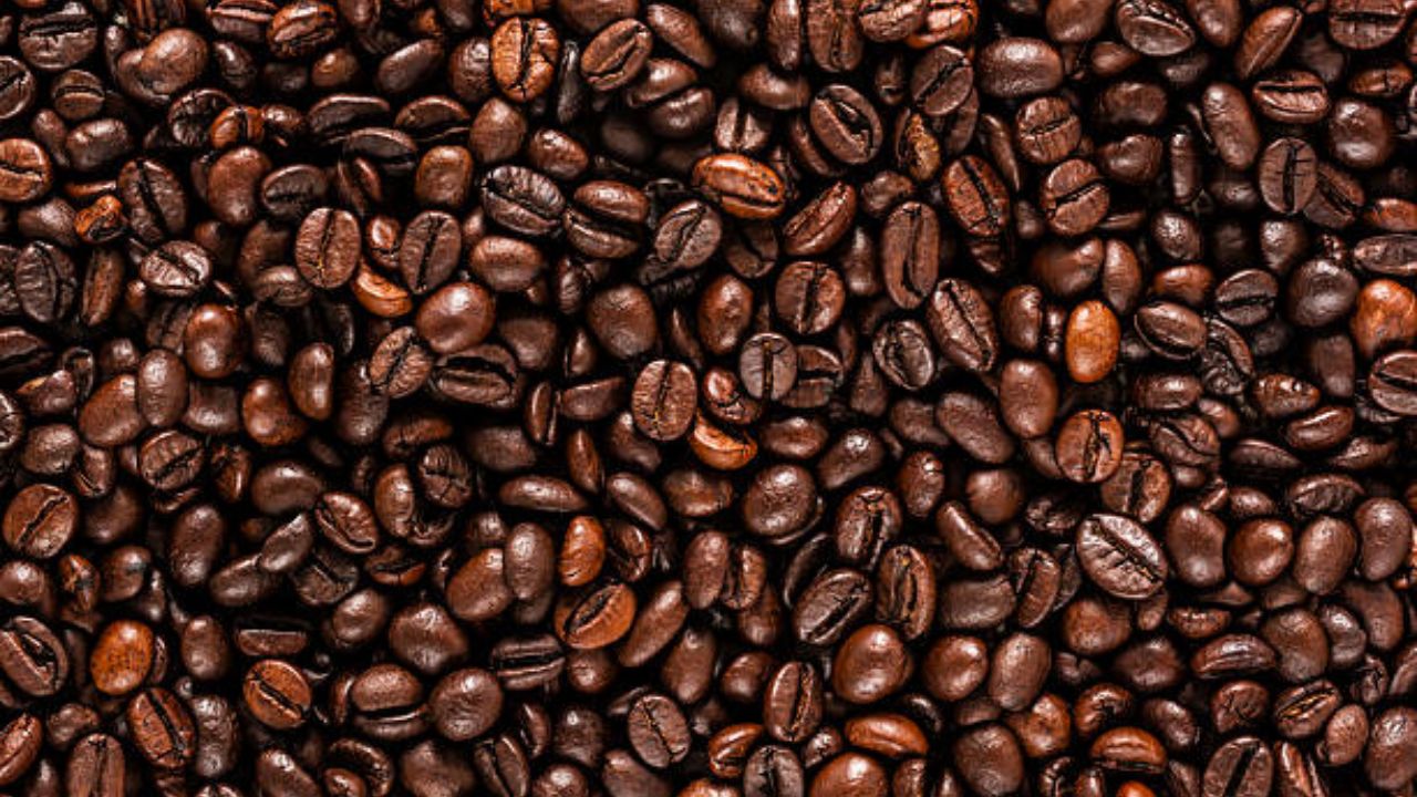 हत्तीच्या विष्ठेतून बाहेर पडलेल्या कॉफी बीन्स शरीरासाठी अतिशय पौष्टिक असतात. 33 किलो कॉफी चेरी हत्तीला खाऊ घातल्यानंतर त्यातून केवळ 1 किलो कॉफी बीन्स हत्तीच्या विष्ठेतून बाहेर पडतात. ही अतिशय हळू आणि नैसर्गिक प्रक्रिया आहे. 