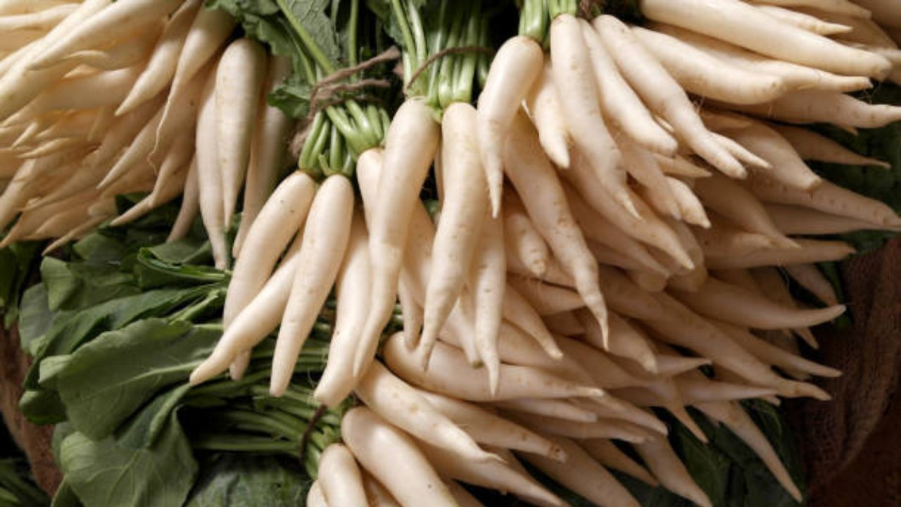 थायरॉईड असलेल्या रुग्णांनी कच्च्या मुळ्याच्या भाजीचे सेवन करू नये. मुळामध्ये गॉइट्रोजन नावाचा पदार्थ असतो, जो थायरॉईड ग्रंथीच्या कार्यात अडथळे निर्माण करतो. यामुळे थायरॉईड वाढण्याची शक्यता असते.