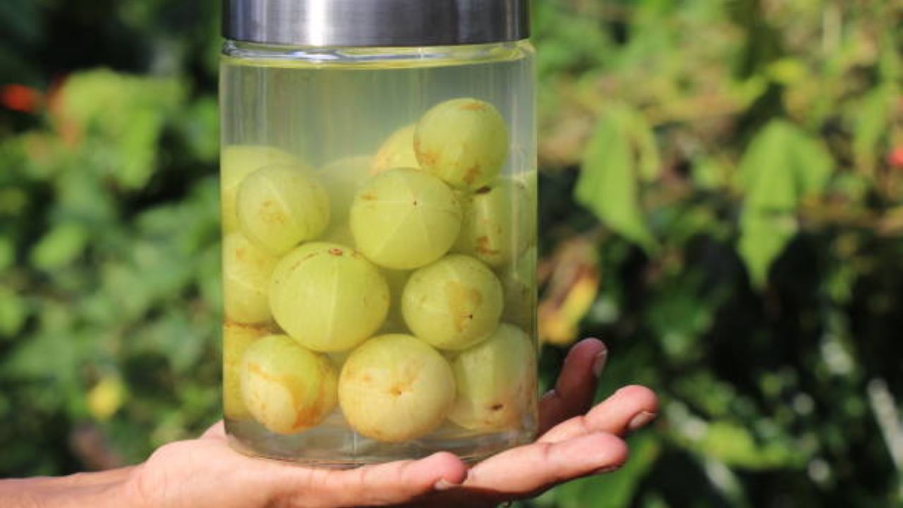 शरीराची कमकुवत झालेली रोगप्रतिकारशक्ती सुधारण्यासाठी सकाळी उठल्यानंतर नियमित एक ग्लास आवळ्याचा रस प्यावा. याशिवाय बदलत्या ऋतूंमध्ये सर्दी, खोकला आणि संसर्ग यांसारखे हंगामी आजार टाळण्यासाठी आवळ्याचा रस प्यावा. 