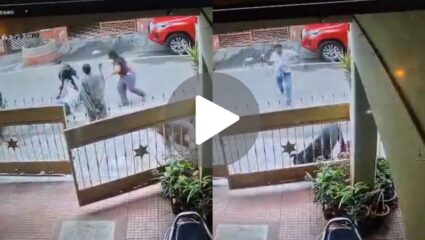 मॉर्निंग वॉकला गेलेल्या महिलेवर कुत्र्याचा जीवघेणा हल्ला, एक-दोन नव्हे तर तब्बल…; घटनेचा धक्कादायक Video व्हायरल