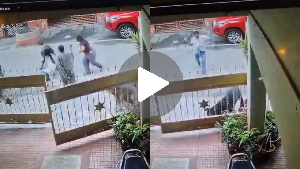 मॉर्निंग वॉकला गेलेल्या महिलेवर कुत्र्याचा जीवघेणा हल्ला, एक-दोन नव्हे तर तब्बल…; घटनेचा धक्कादायक Video व्हायरल