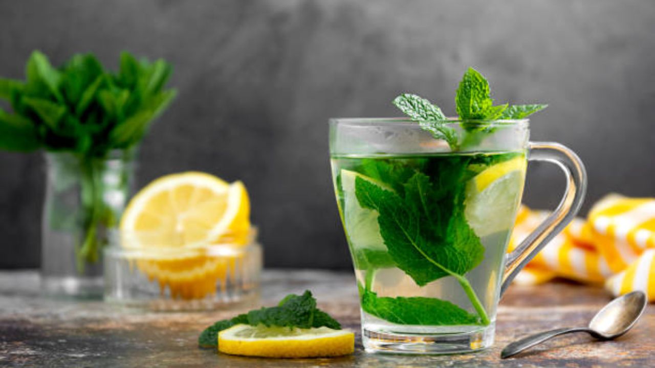 ताज्या पुदिन्याच्या पानांचा वापर करून बनवलेला ग्रीन टी चवीसोबतच शरीरासाठी सुद्धा फायदेशीर आहे. यामुळे आतड्यांमध्ये जमा झालेले विषारी घटक बाहेर पडून जातील. 