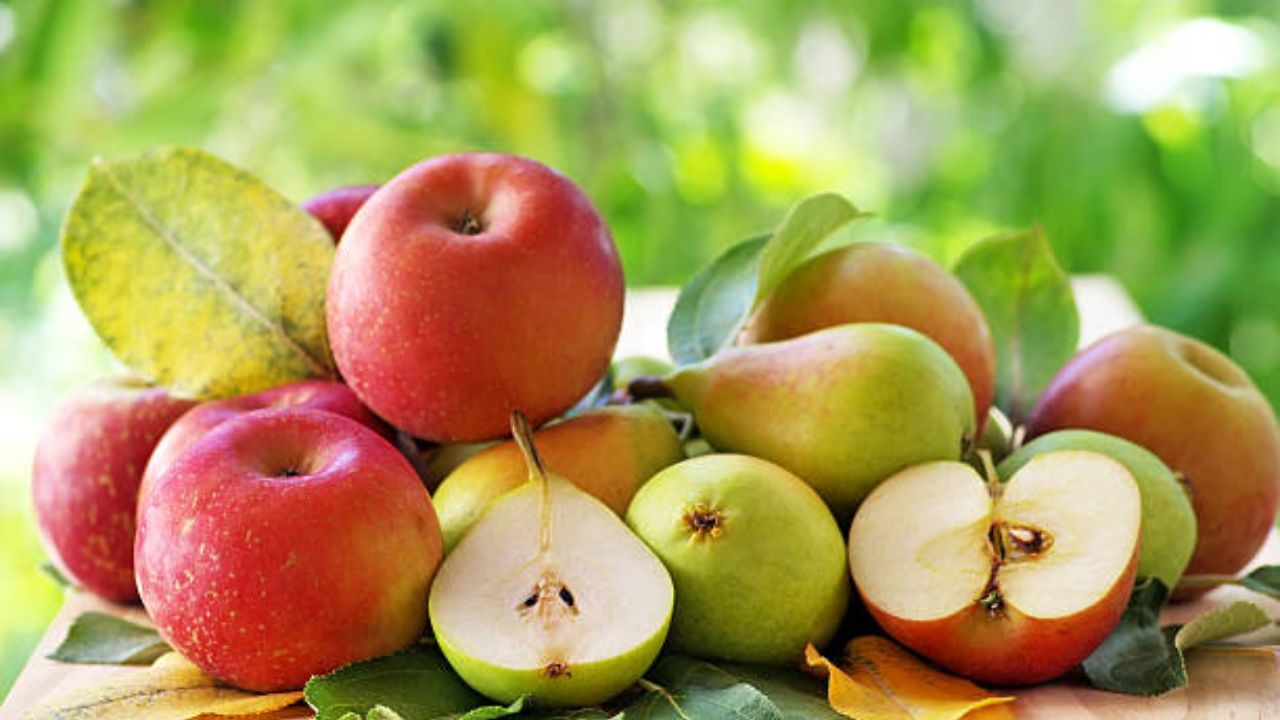 सफरचंदांमध्ये विरघळणारे फायबर पेक्टिन असते, ज्यामुळे शरीराची पचनक्रिया सुधारते. पचनक्रियेला आराम देण्यासाठी आणि आतड्यांची हालचाल सुलभ करण्यासाठी नियमित एक सफरचंद खावे. 